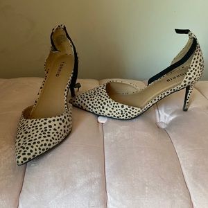 Torrid Dalmatian Print Pumps size 9.5W
